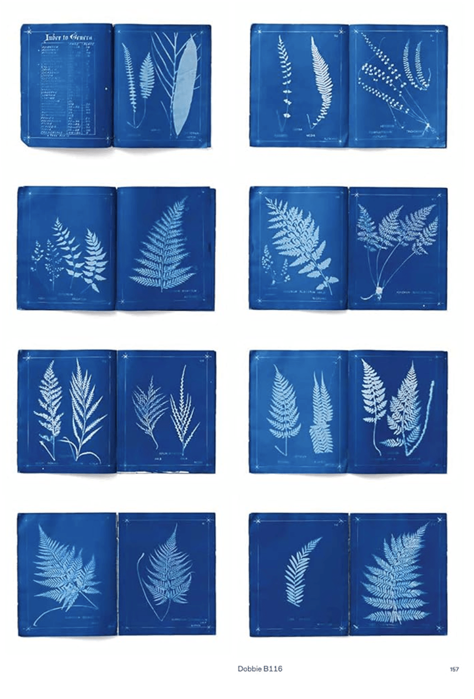 Capturing Nature: 150 Years of Nature Printing
